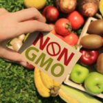 Which is better organic or non-GMO?