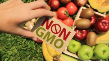 Which is better organic or non-GMO?