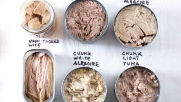 Which is better solid white or chunk light tuna?