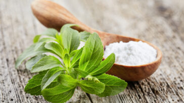 Which is better stevia or Splenda?