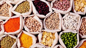 Which legumes are most digestible?