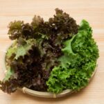 Which lettuce is easiest to digest?