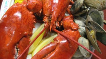 Which lobster is the best tasting?