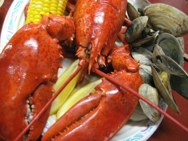 Which lobster is the best tasting?