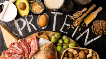 Which meat is lowest in protein?