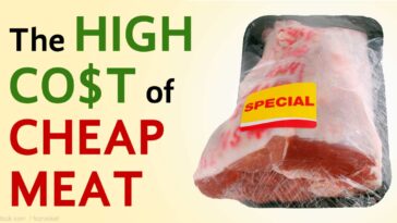 Which meats are the cheapest?
