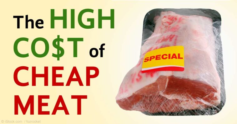 Which meats are the cheapest?