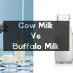 Which milk is best cow or buffalo?