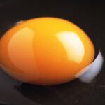 Which part of egg has more protein?