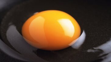 Which part of egg has more protein?