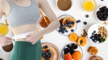 Which protein is best for belly fat loss?