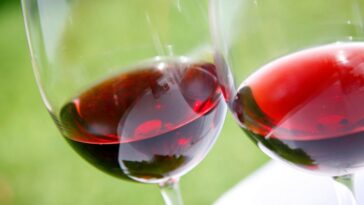 Which red wine is best for gut health?
