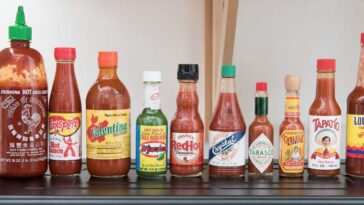 Which sauce brand is best?