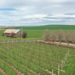 Which state is known as wine Country?