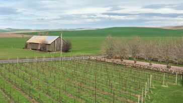 Which state is known as wine Country?