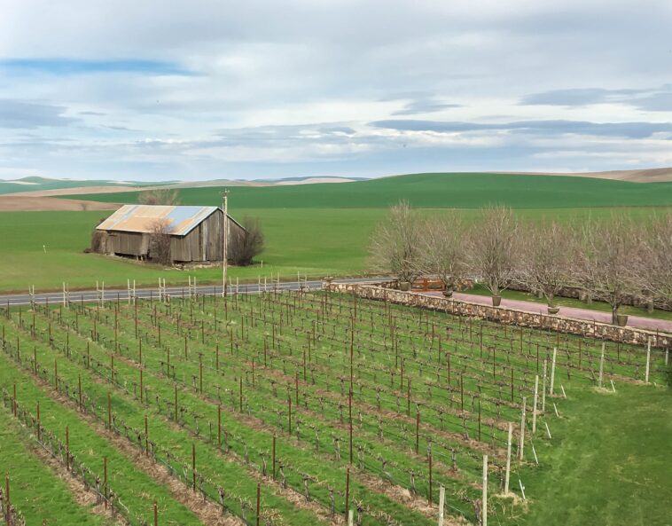 Which state is known as wine Country?