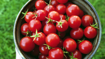 Who bought Sweet Tomatoes?