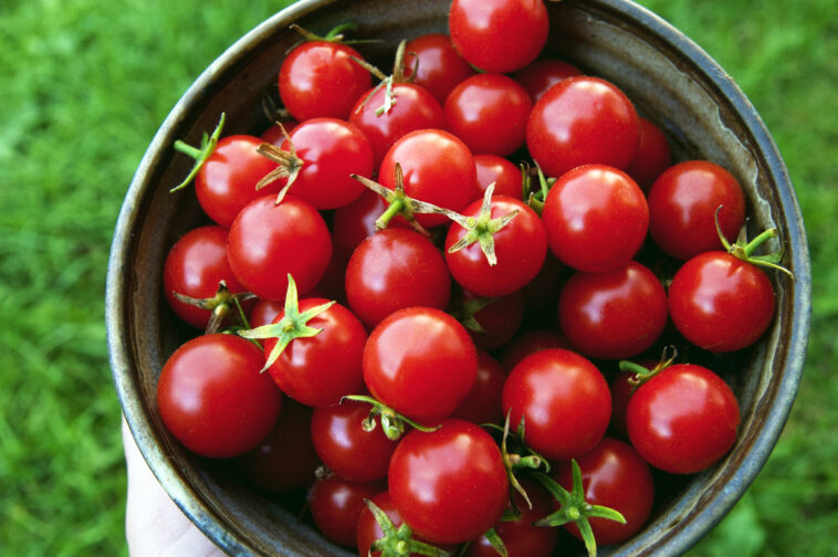 Who bought Sweet Tomatoes?