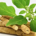Who can use ashwagandha?