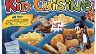 Who is Kid Cuisine owned by?