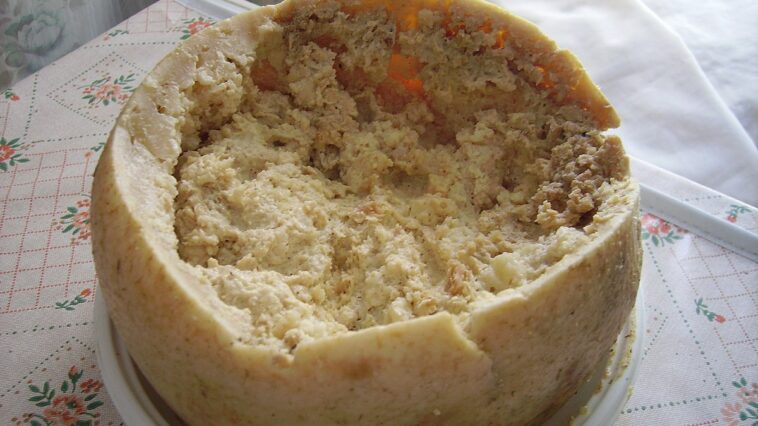 Who made casu marzu?