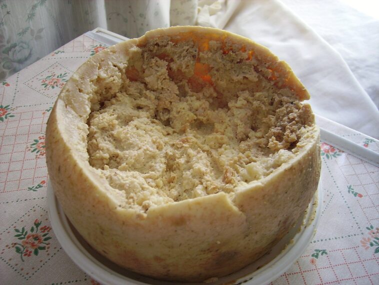Who made casu marzu?