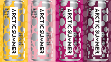 Who owns Arctic summer Seltzer?