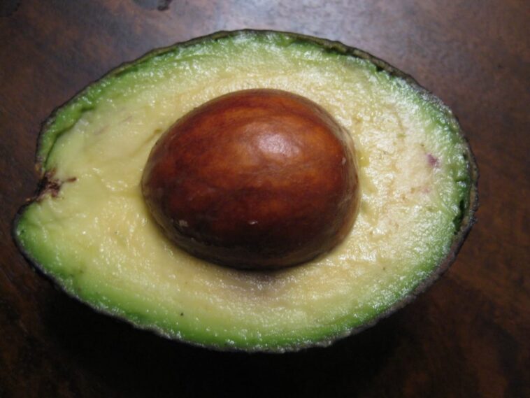 Who should avoid eating avocado?