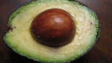 Who should avoid eating avocado?