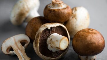Who should avoid eating mushrooms?