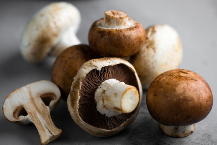 Who should avoid eating mushrooms?