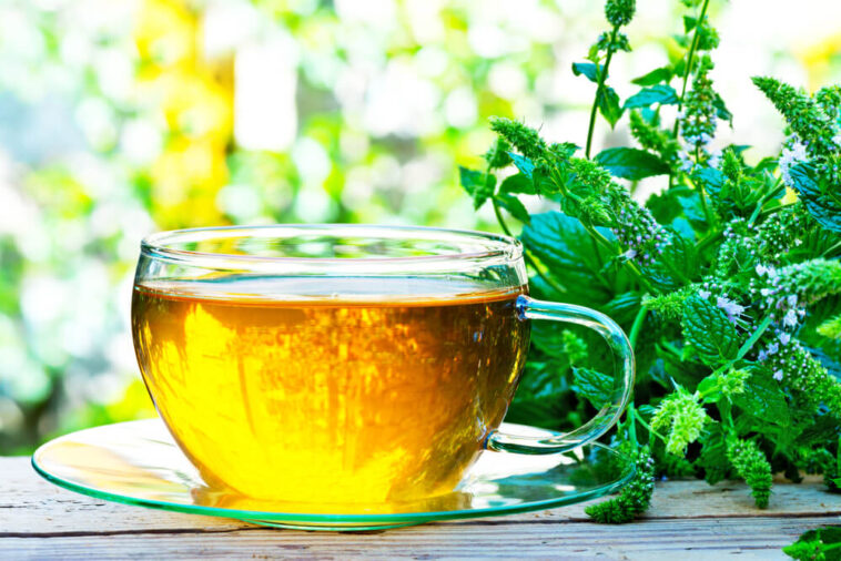 Who should not drink peppermint tea?