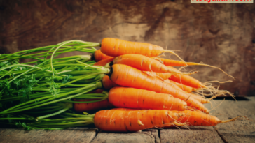 Who should not eat carrots?