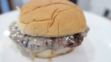 Why are BUBBA burgers shaped the way they are?