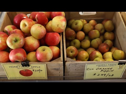 Why are Cortland apples so good?