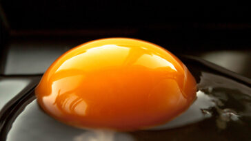Why are Happy Egg yolks so dark?
