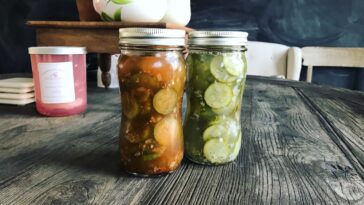 Why are Red Robin Pickles not vegan?