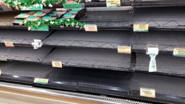 Why are Trader Joe's shelves bare?