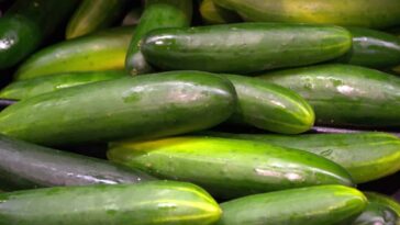Why are cucumbers no calories?