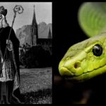 Why are there no SunChips?