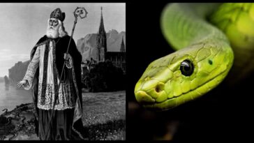 Why are there no SunChips?