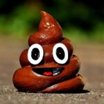 Why can't I poop even though I have to?