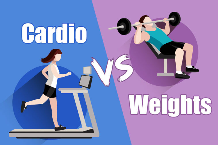 Why cardio does not burn fat?