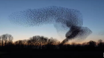 Why did Target switch to good and gather?