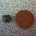 Why do I fart so much when I eat beans?