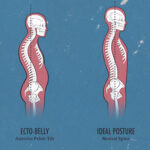 Why do I have a big belly but I'm not fat?