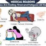 Why do I keep feeling tired all the time?