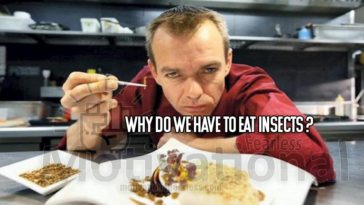 Why do I not have the motivation to eat?