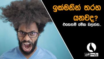 Why do I overeat so easily?