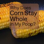 Why do I poop out whole pieces of food?